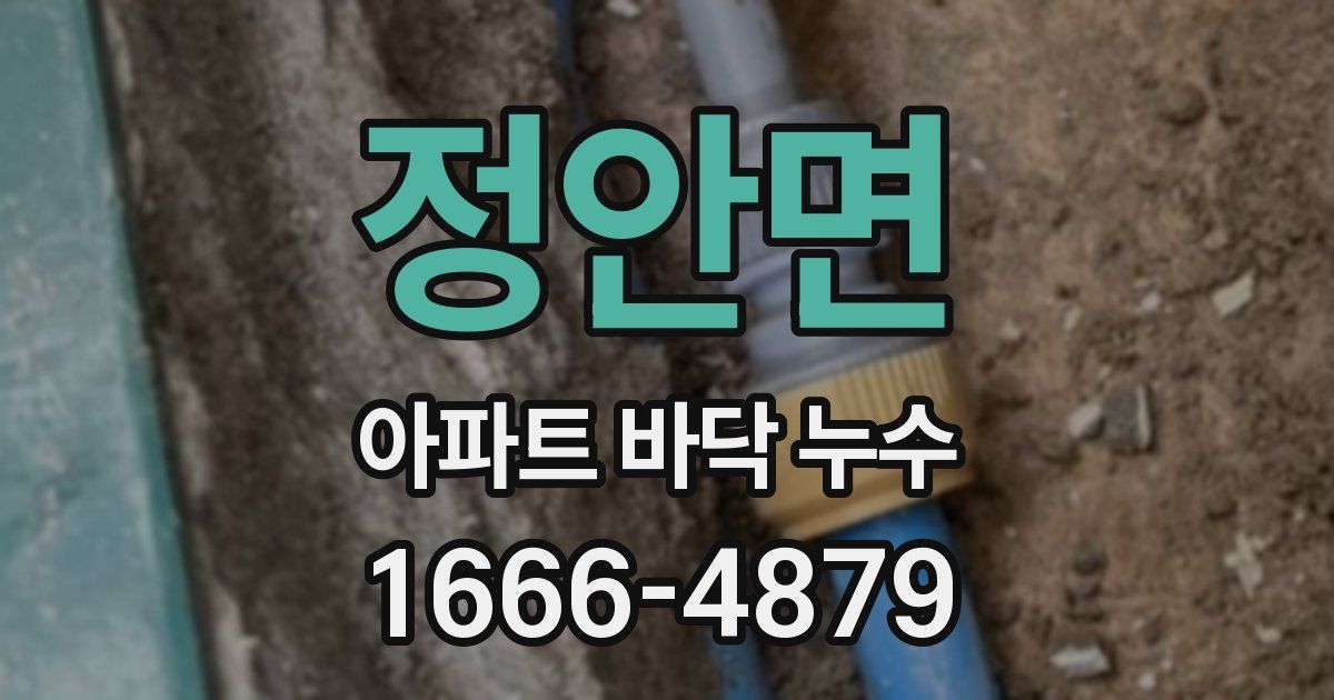 정안면 아파트 바닥 누수