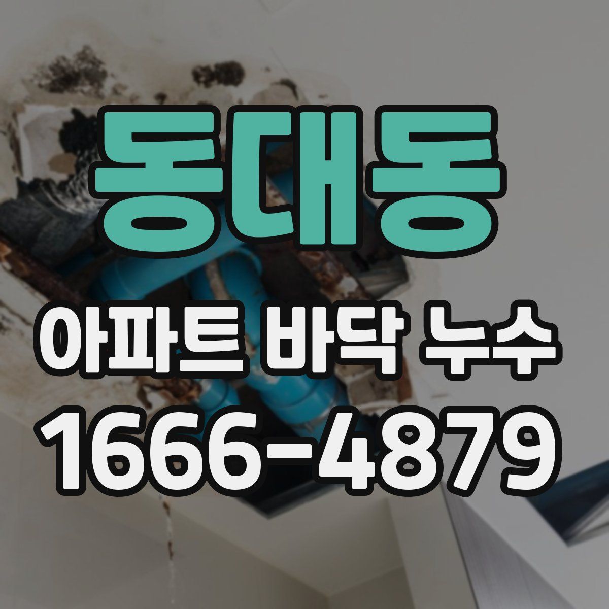 동대동 아파트 바닥 누수