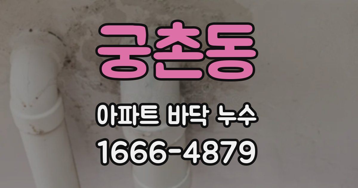 궁촌동 아파트 바닥 누수