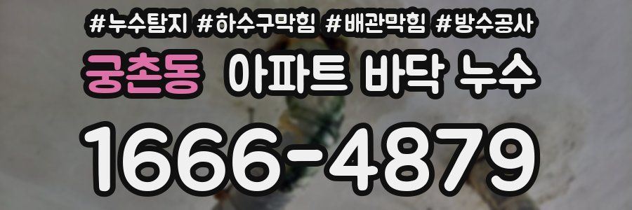궁촌동 아파트 바닥 누수