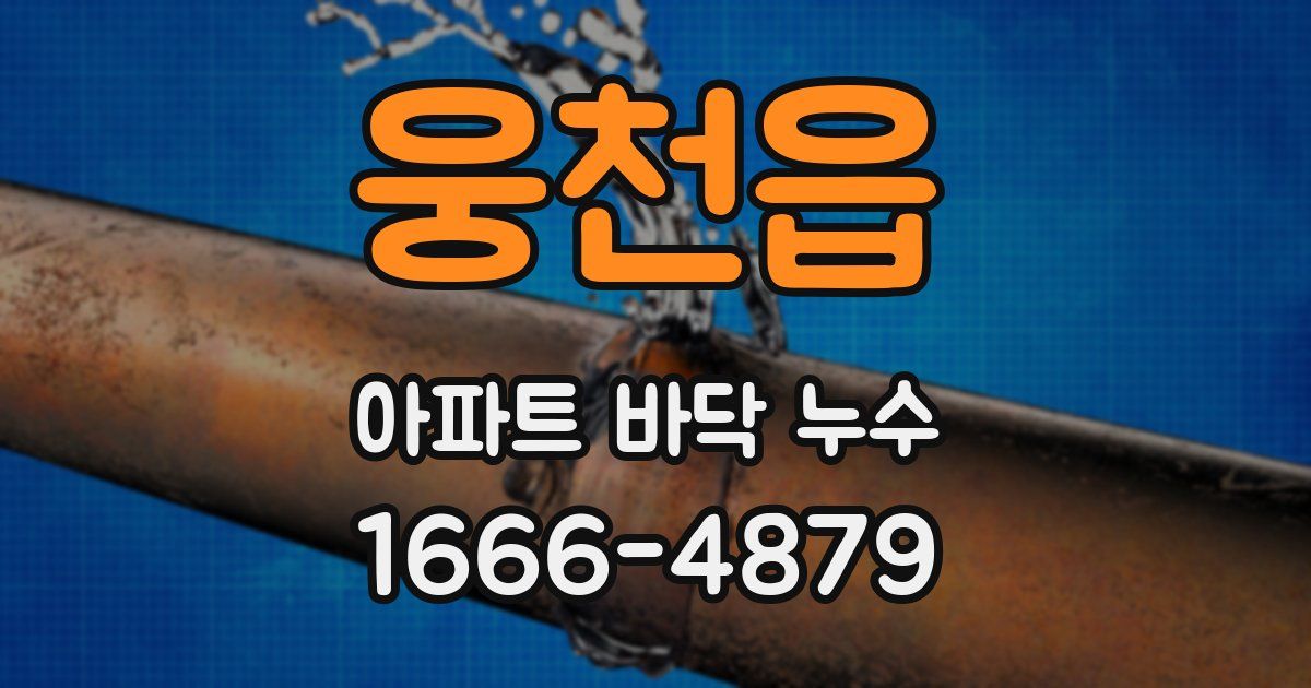 웅천읍 아파트 바닥 누수