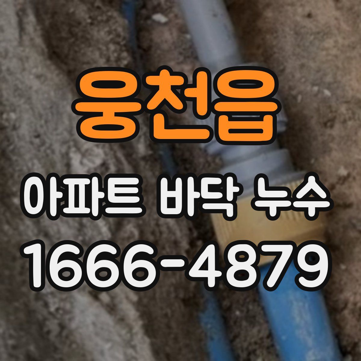 웅천읍 아파트 바닥 누수