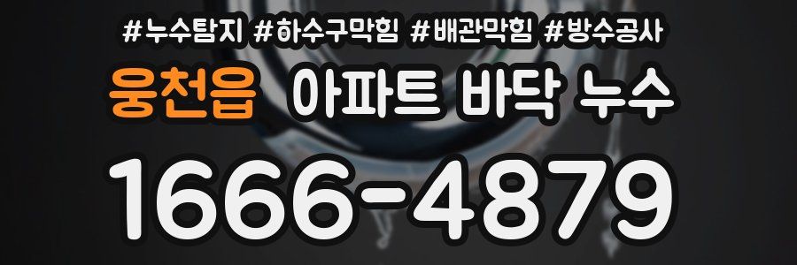 웅천읍 아파트 바닥 누수