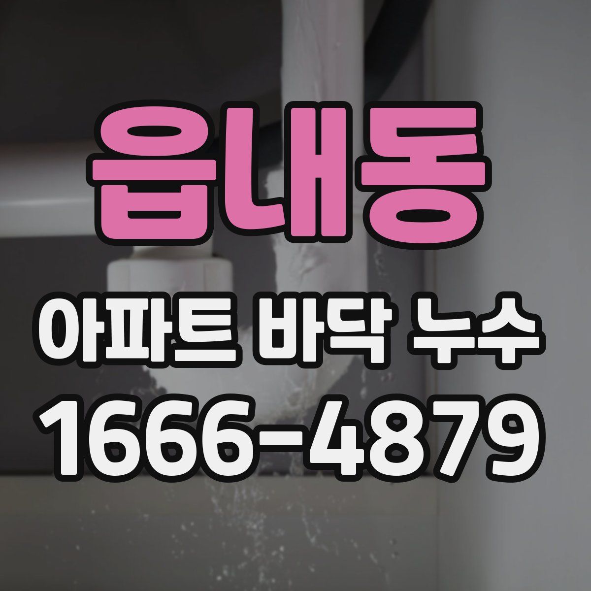 읍내동 아파트 바닥 누수