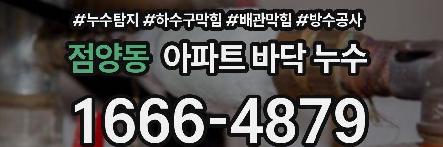 점양동 아파트 바닥 누수