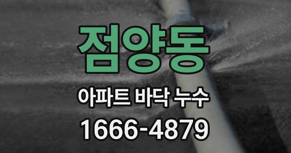 점양동 아파트 바닥 누수