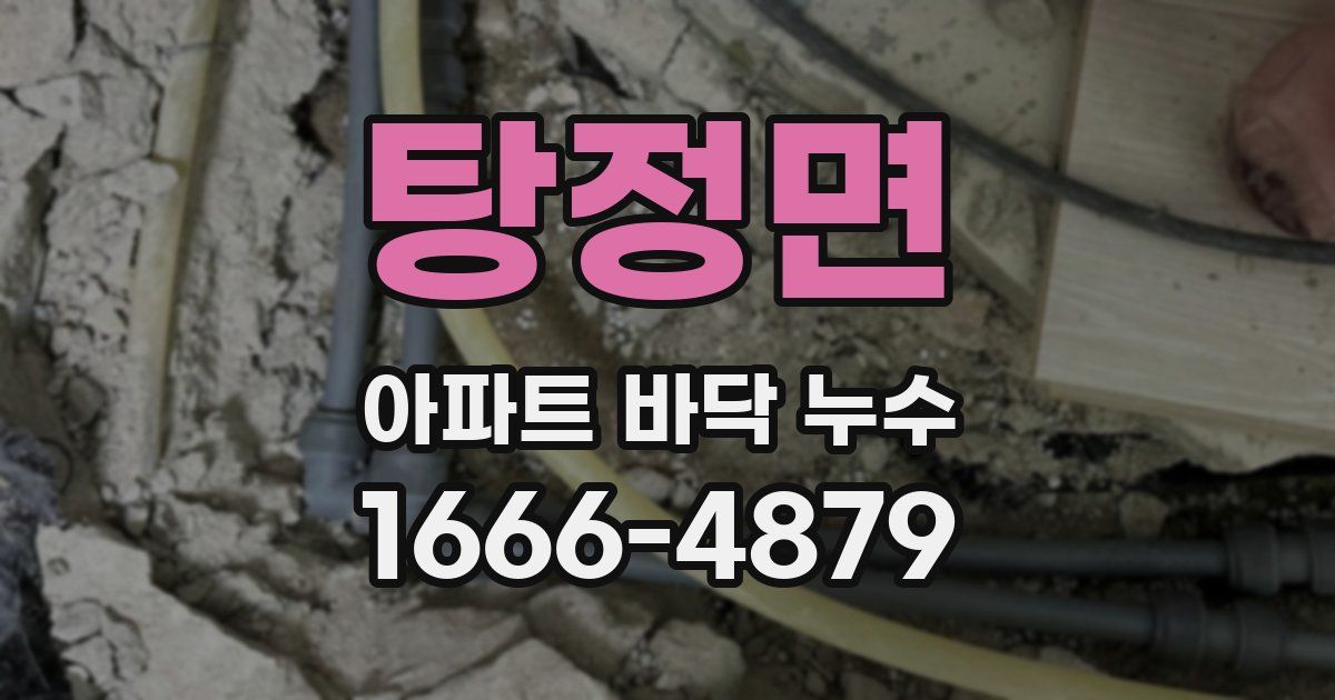 탕정면 아파트 바닥 누수