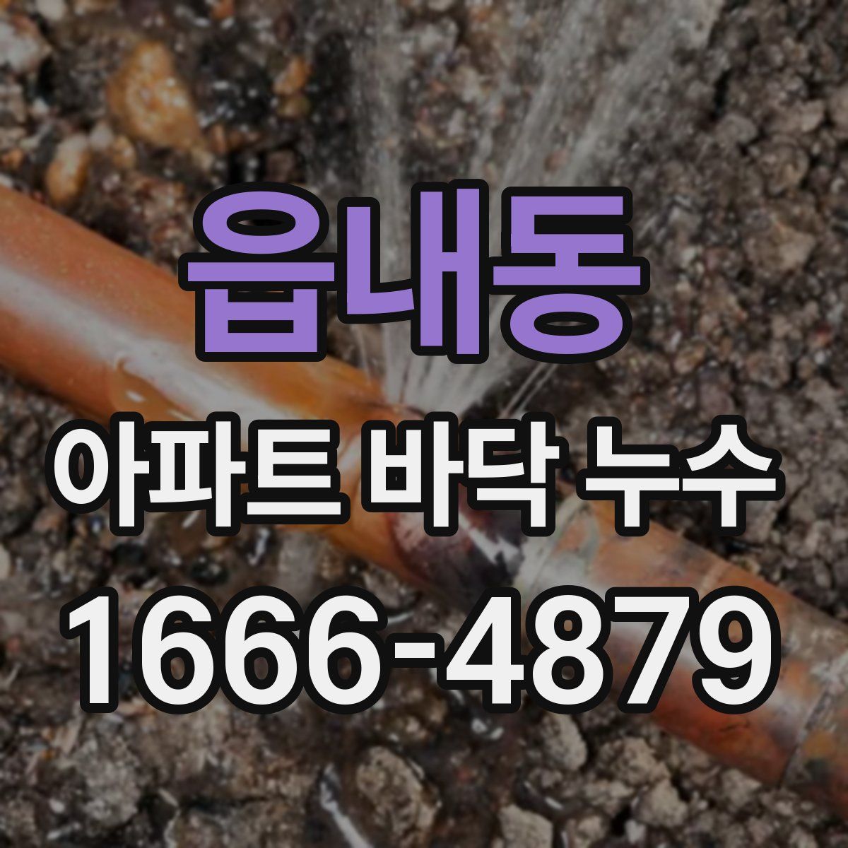 읍내동 아파트 바닥 누수