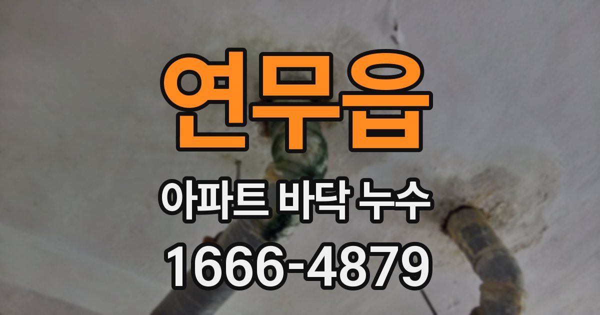 연무읍 아파트 바닥 누수