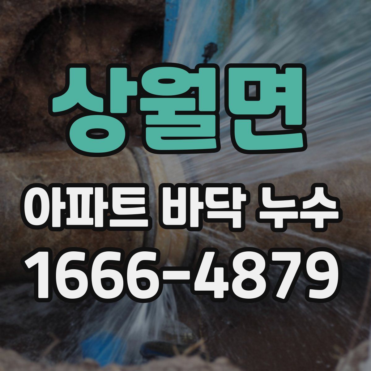 상월면 아파트 바닥 누수