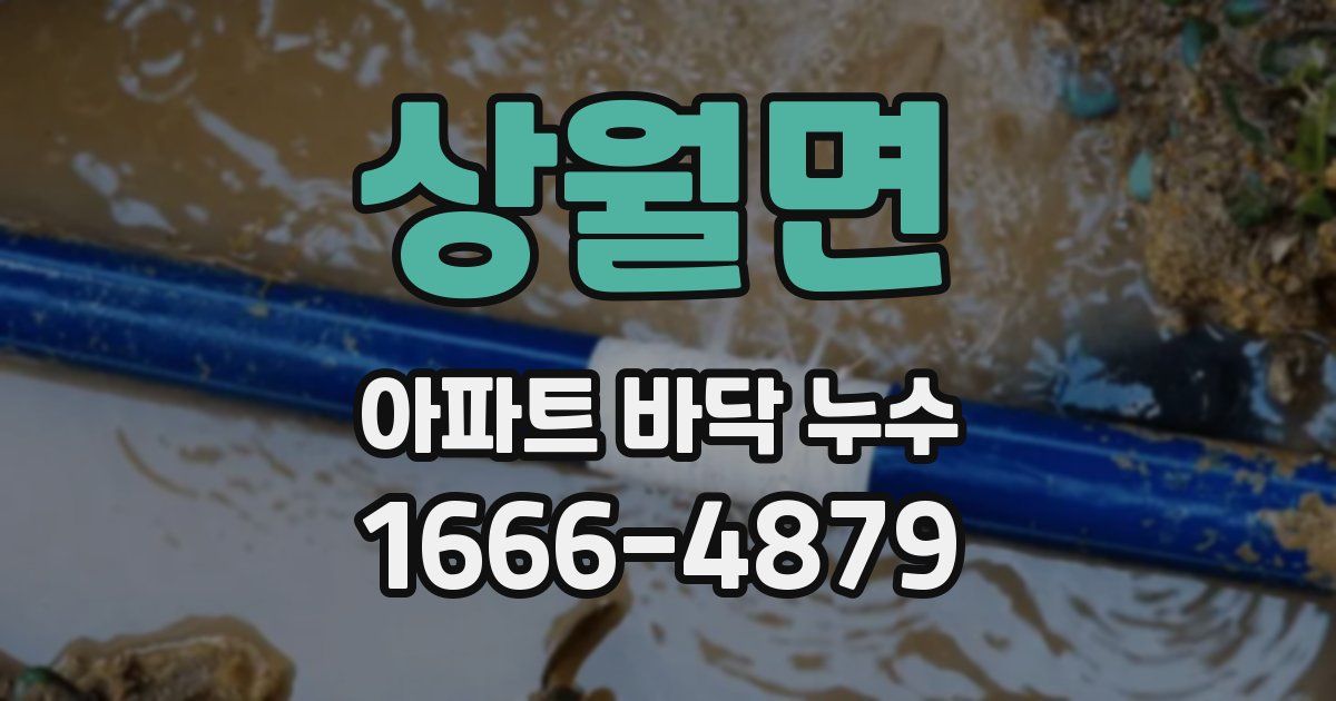 상월면 아파트 바닥 누수