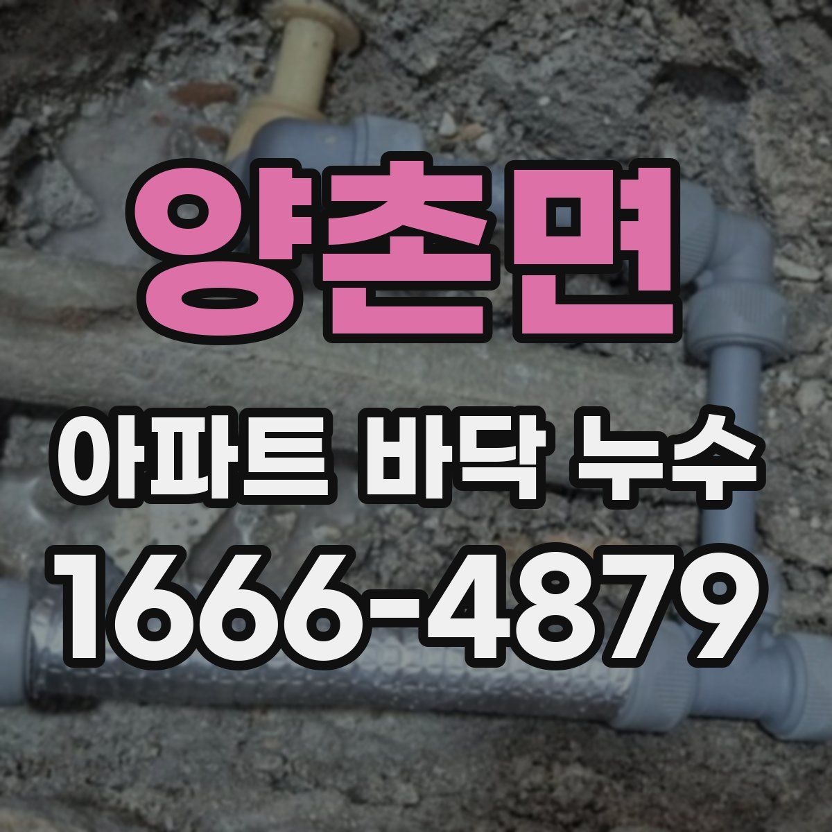 양촌면 아파트 바닥 누수