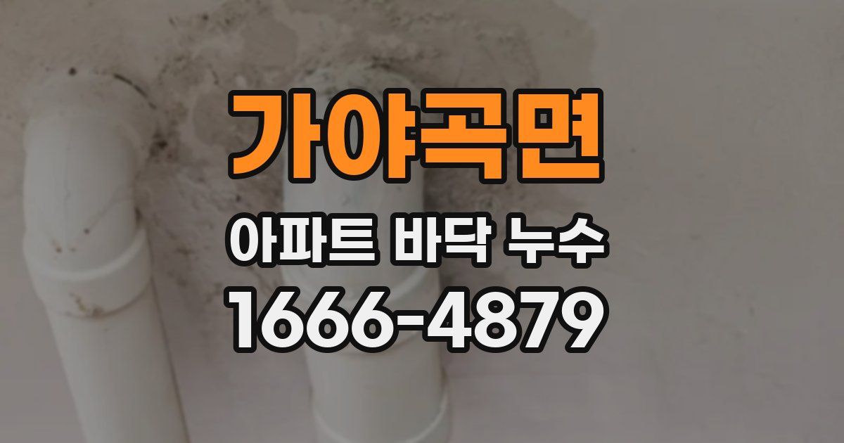 가야곡면 아파트 바닥 누수