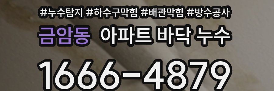 금암동 아파트 바닥 누수