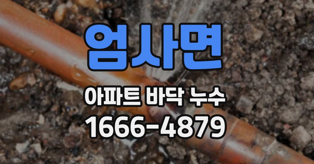 엄사면 아파트 바닥 누수