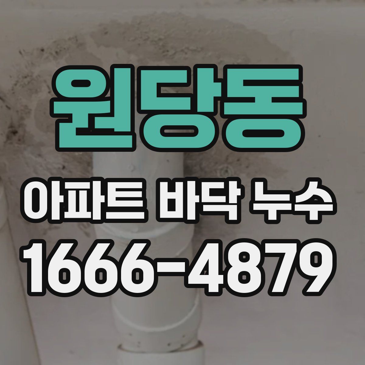 원당동 아파트 바닥 누수