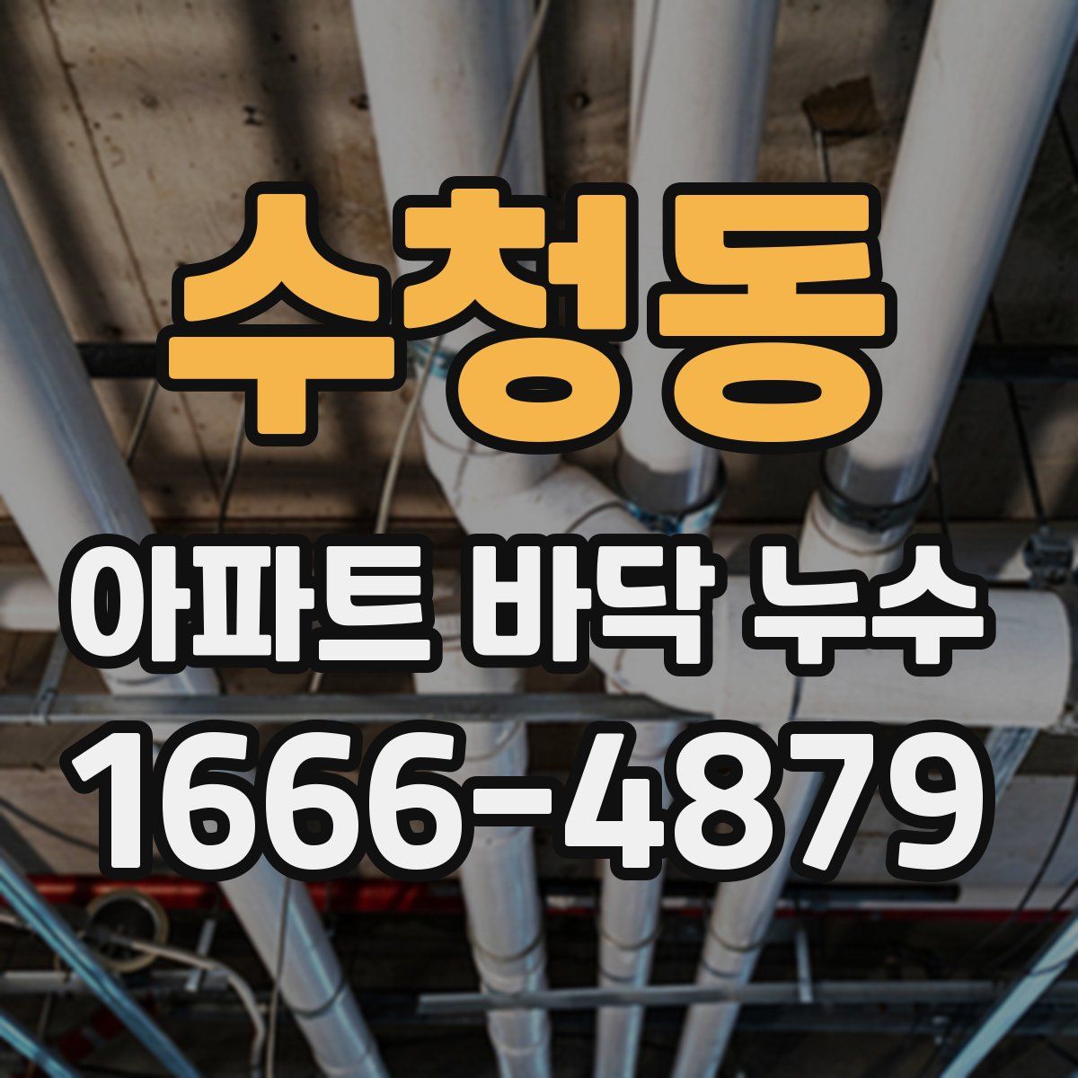 수청동 아파트 바닥 누수