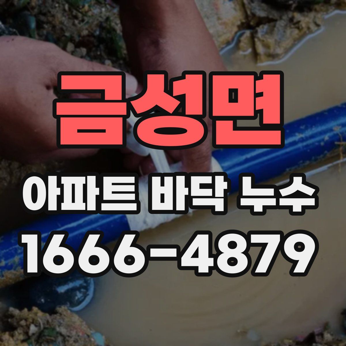금성면 아파트 바닥 누수