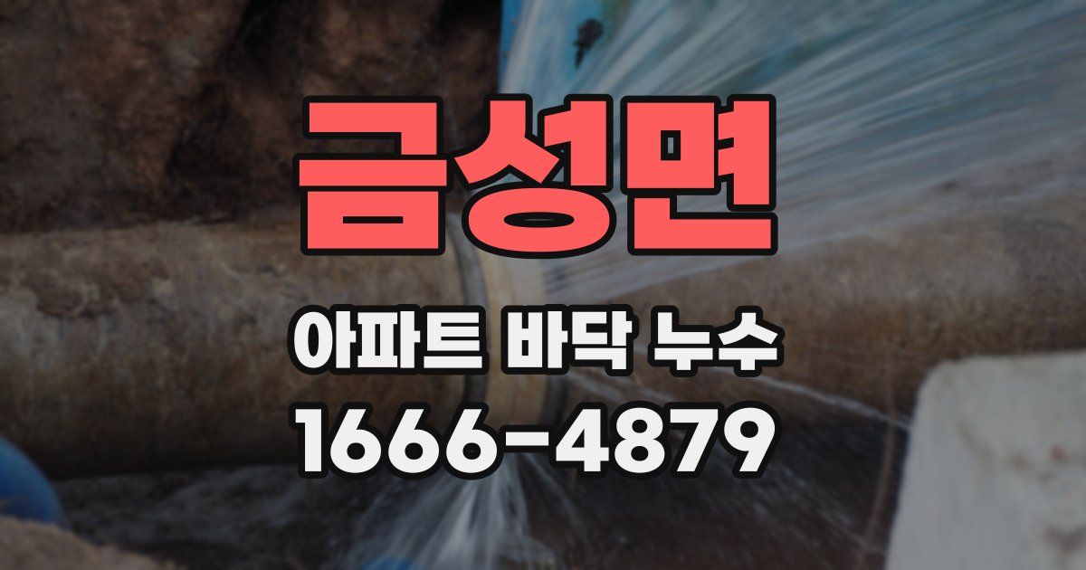 금성면 아파트 바닥 누수