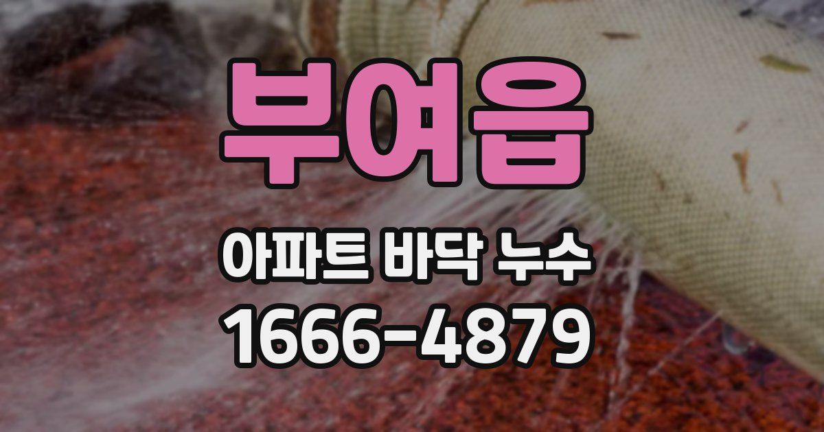 부여읍 아파트 바닥 누수