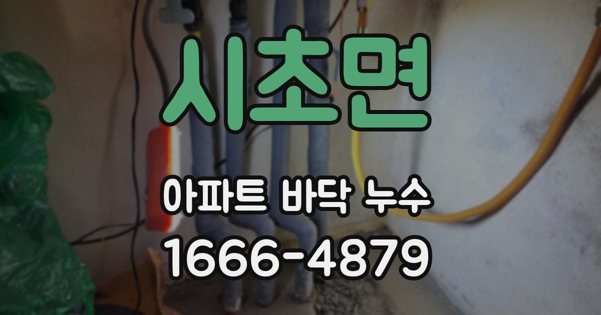 시초면 아파트 바닥 누수