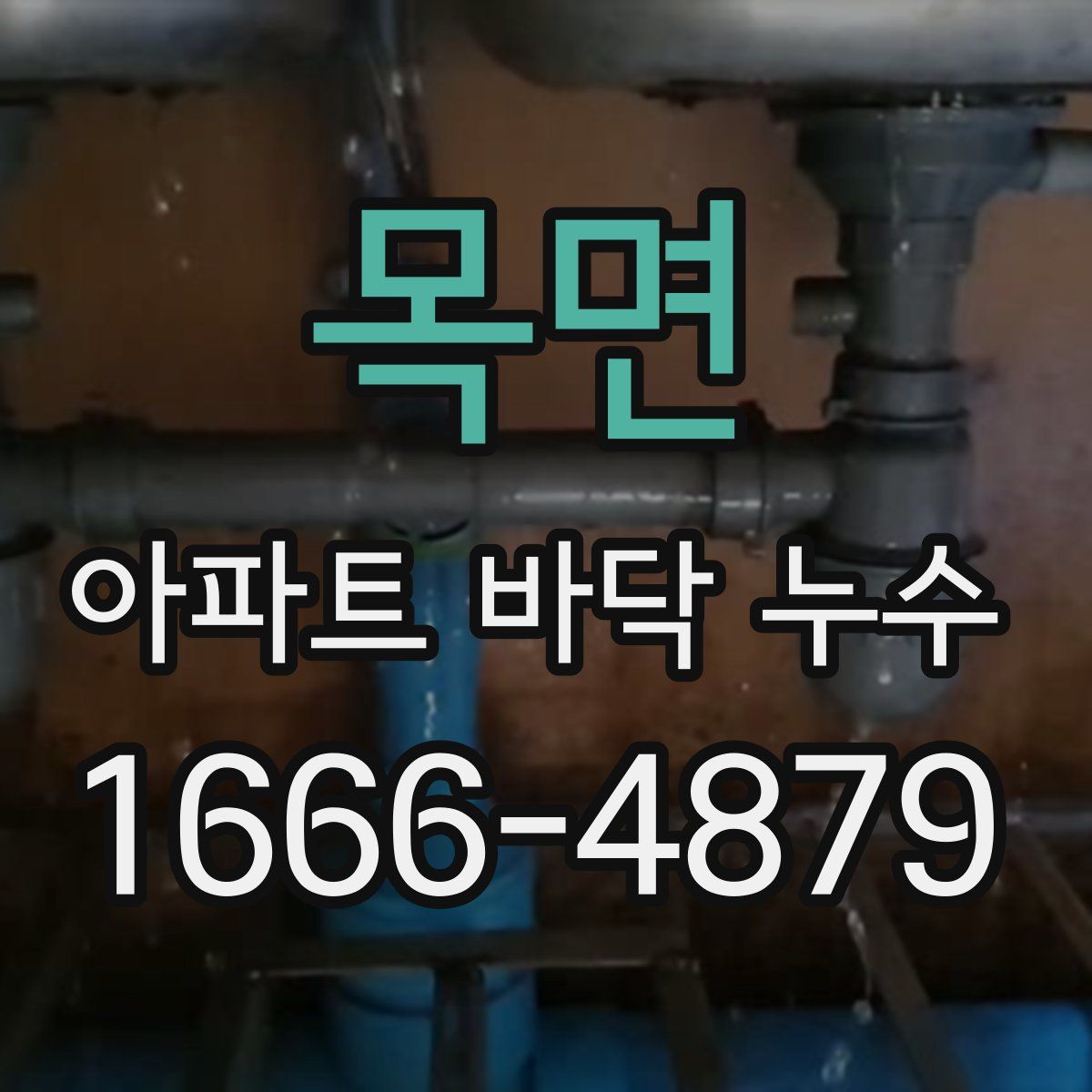 목면 아파트 바닥 누수