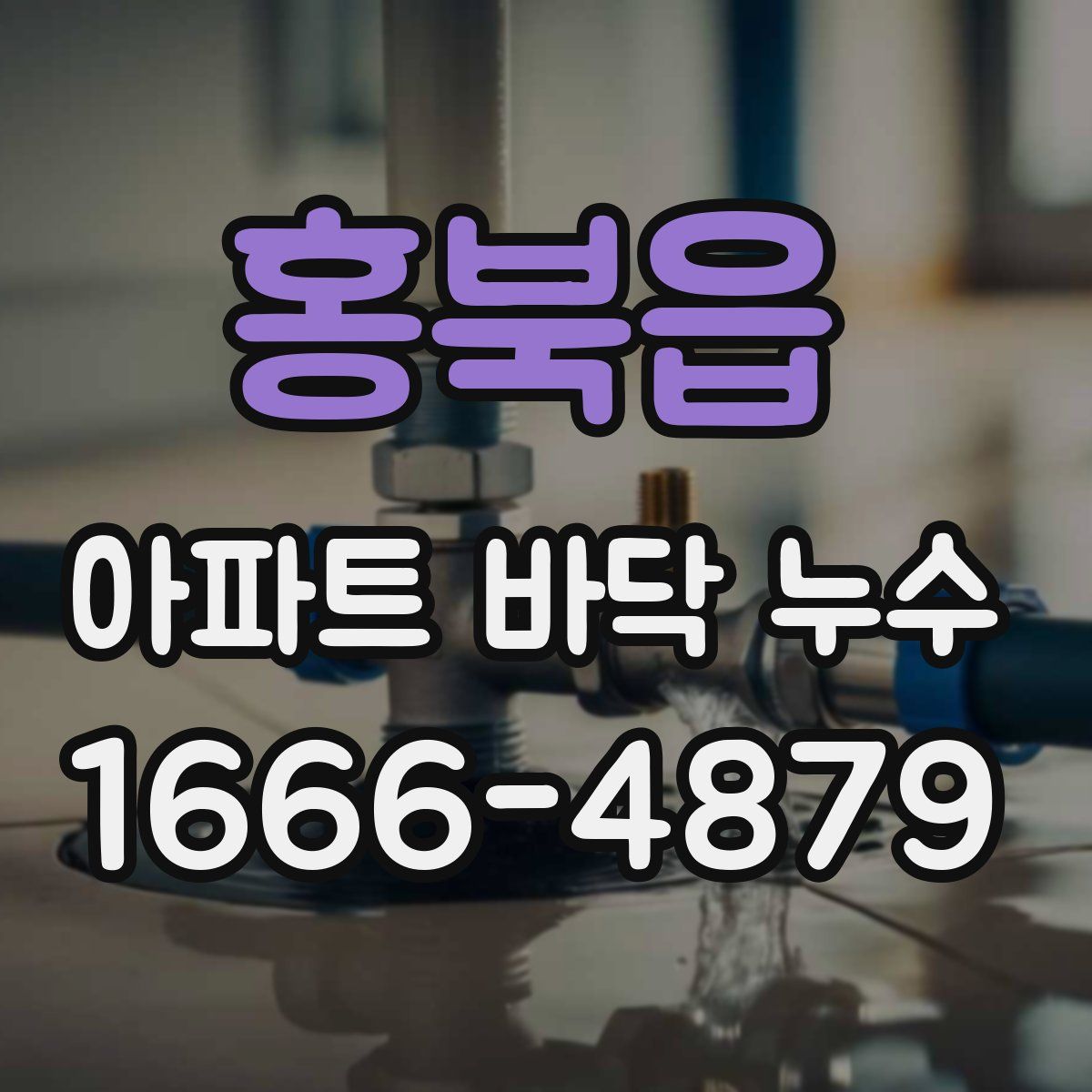 홍북읍 아파트 바닥 누수