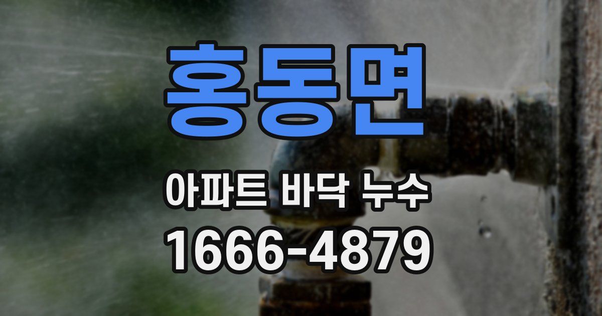 홍동면 아파트 바닥 누수