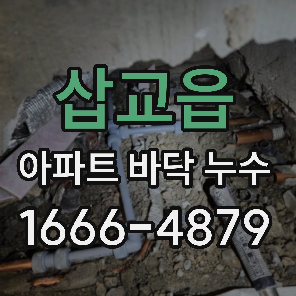 삽교읍 아파트 바닥 누수
