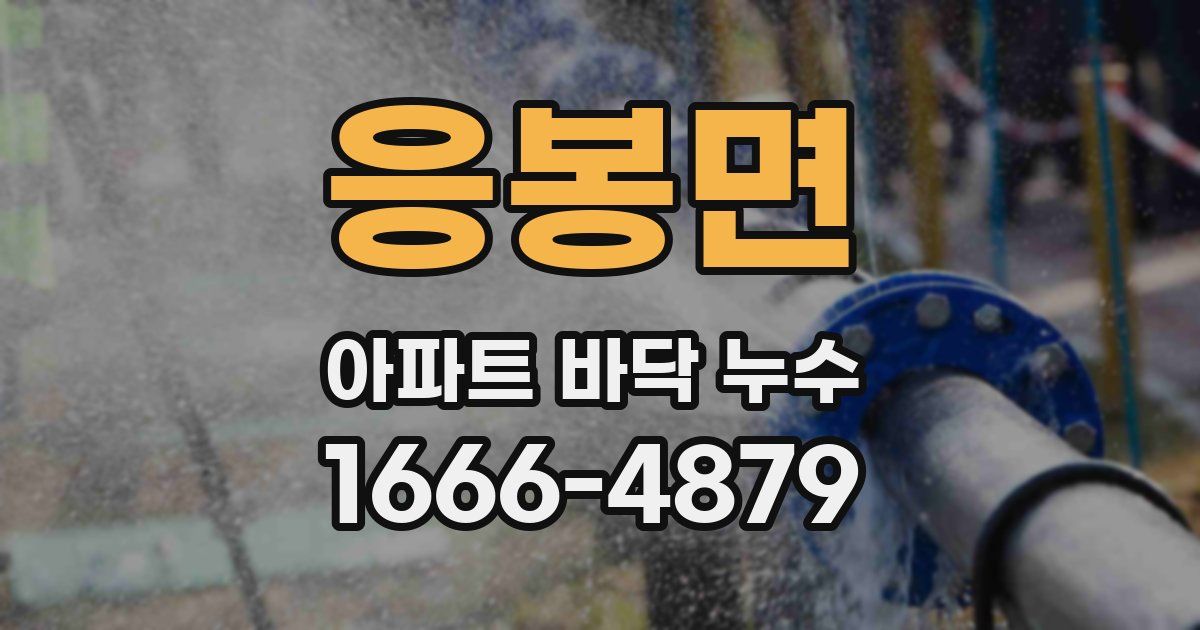 응봉면 아파트 바닥 누수