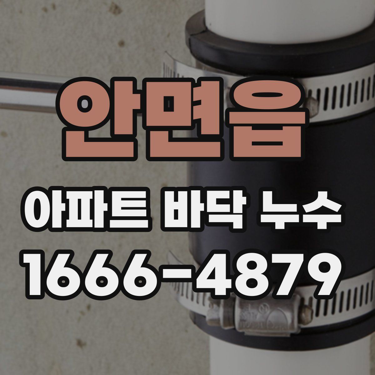 안면읍 아파트 바닥 누수