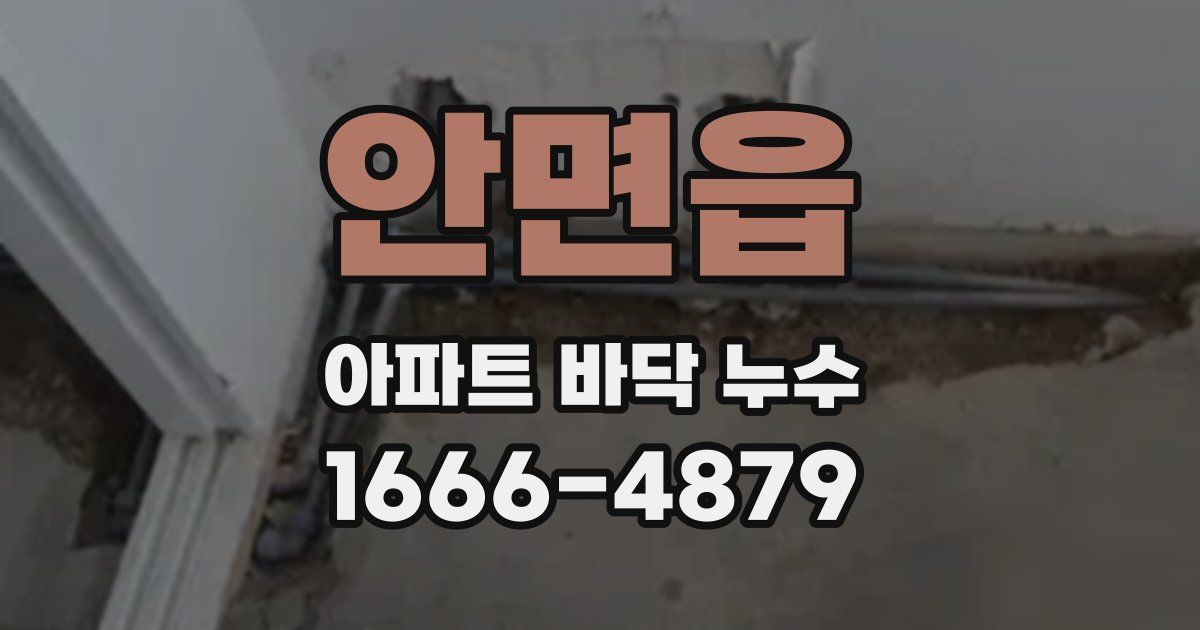 안면읍 아파트 바닥 누수