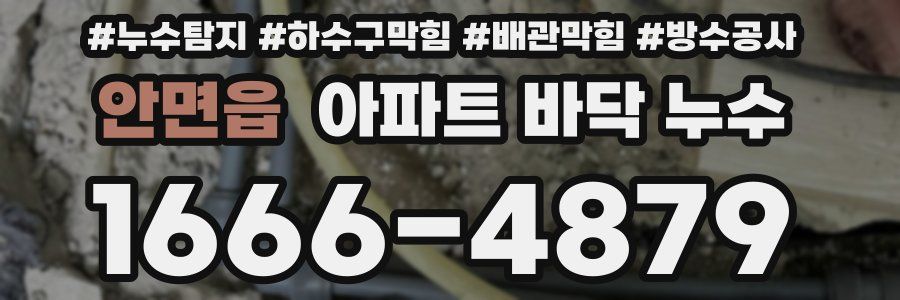 안면읍 아파트 바닥 누수