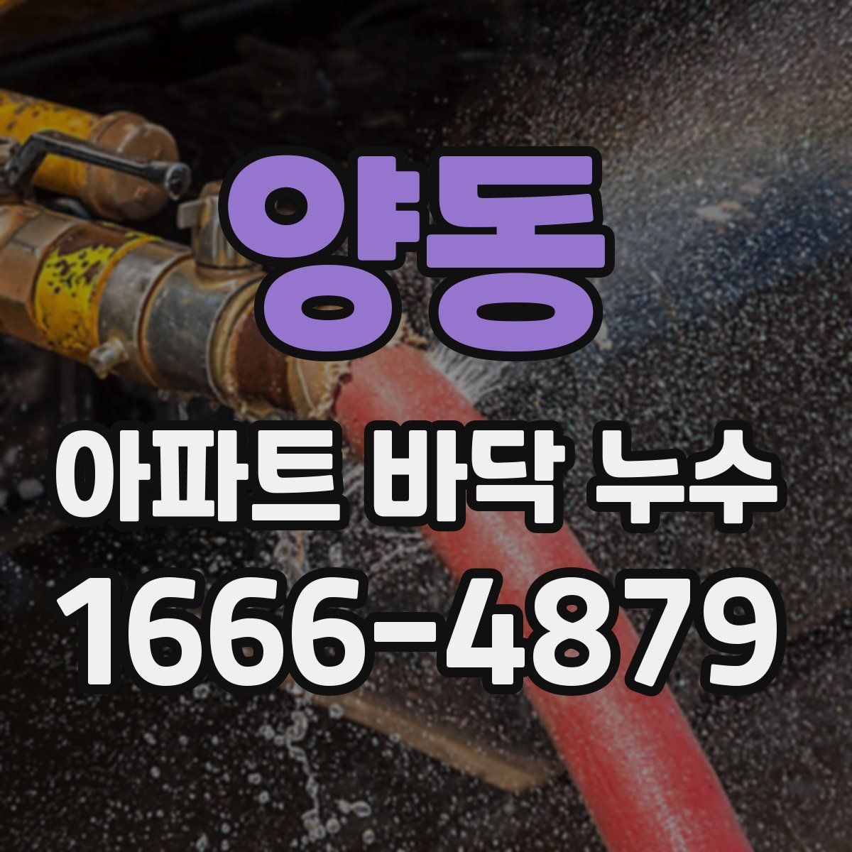 양동 아파트 바닥 누수