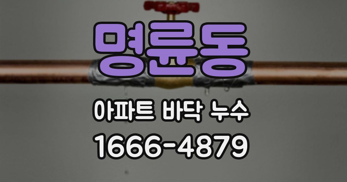 명륜동 아파트 바닥 누수