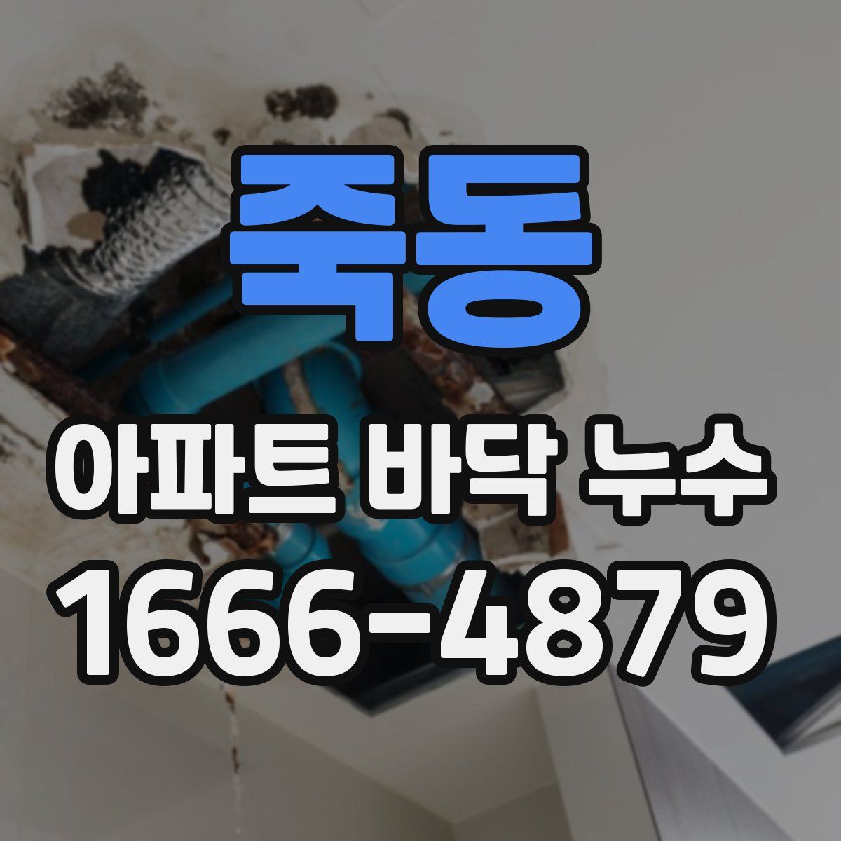죽동 아파트 바닥 누수