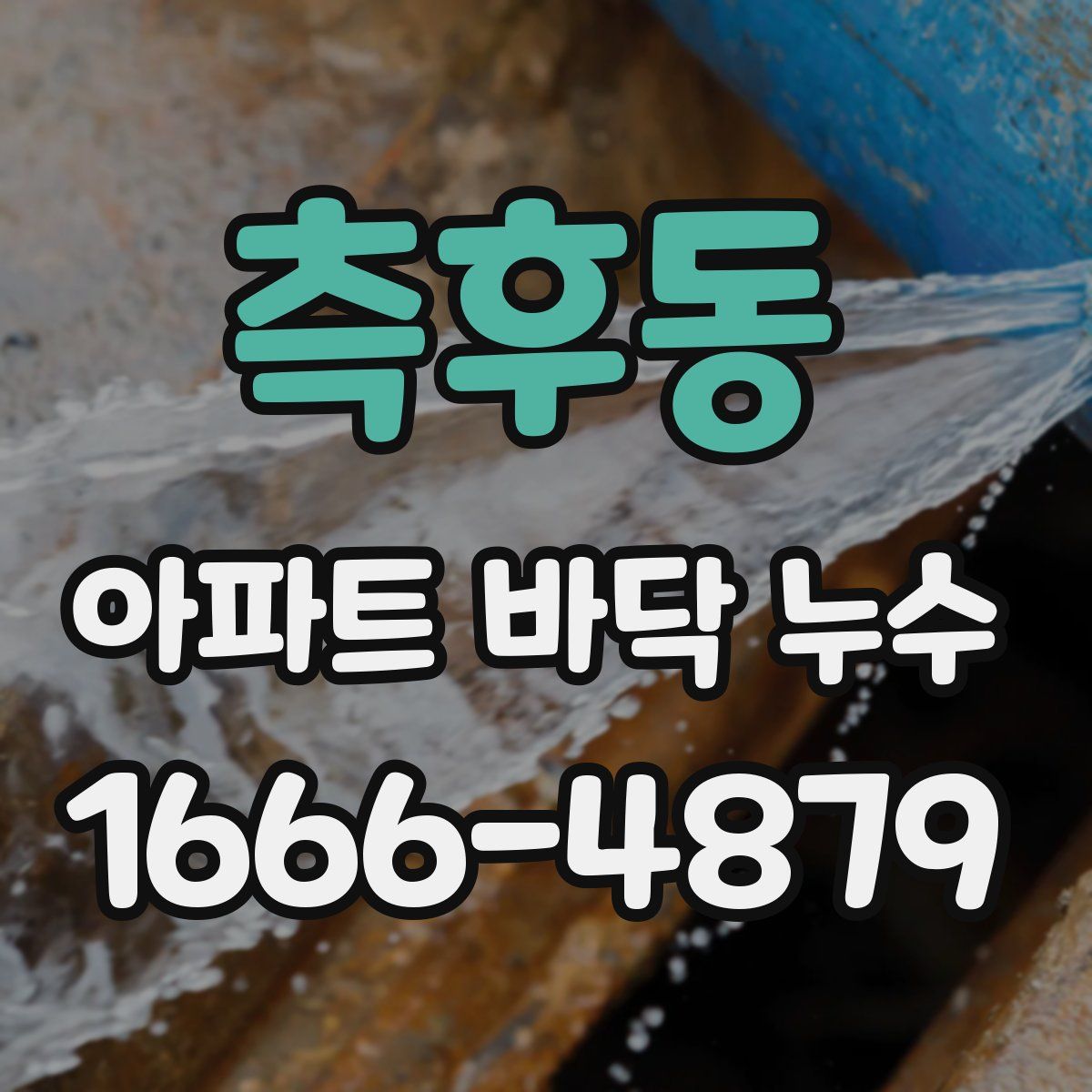 측후동 아파트 바닥 누수