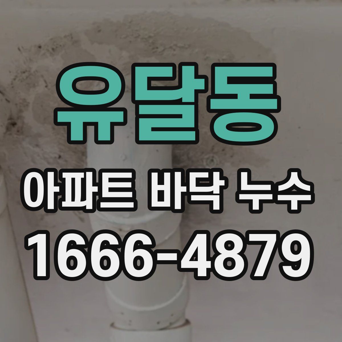 유달동 아파트 바닥 누수