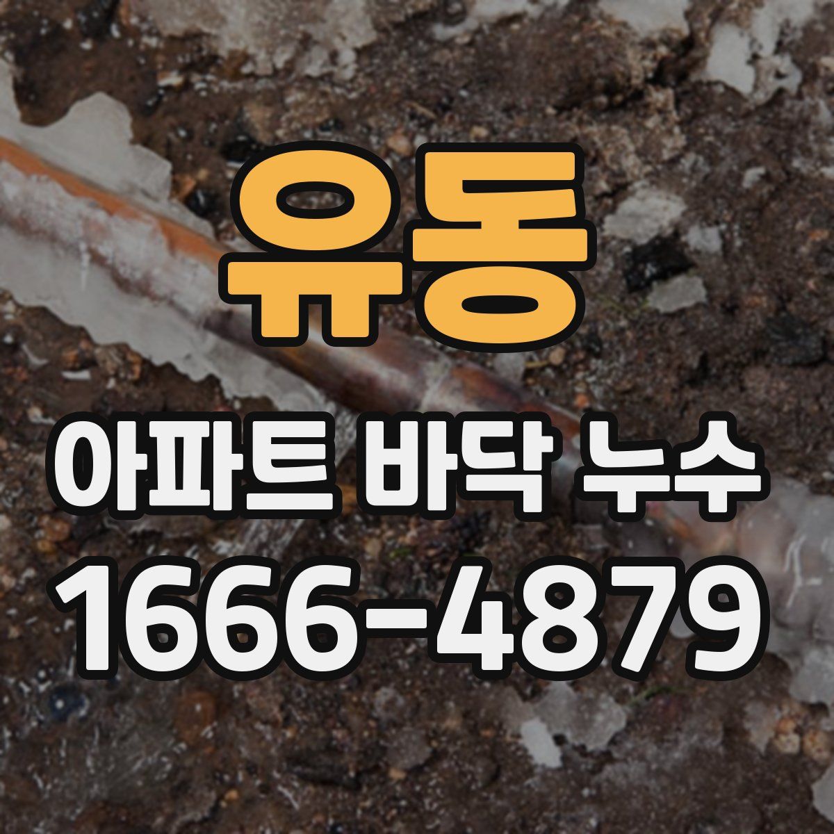 유동 아파트 바닥 누수