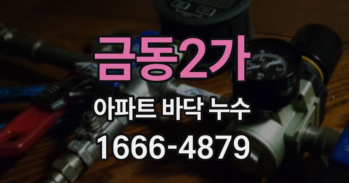 금동2가 아파트 바닥 누수