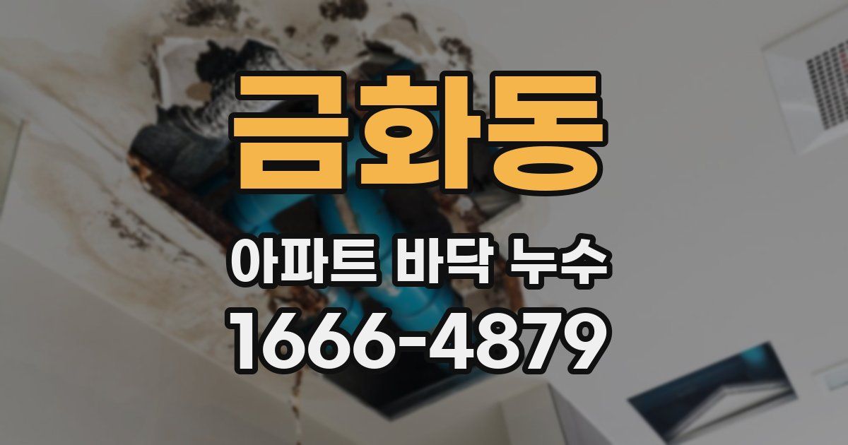 금화동 아파트 바닥 누수