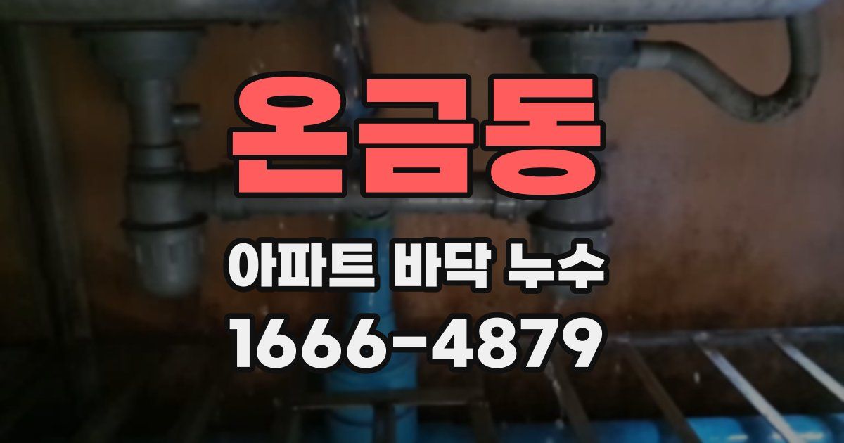 온금동 아파트 바닥 누수