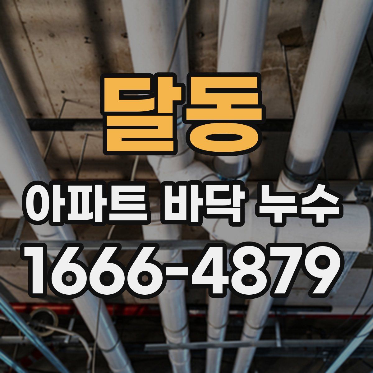 달동 아파트 바닥 누수