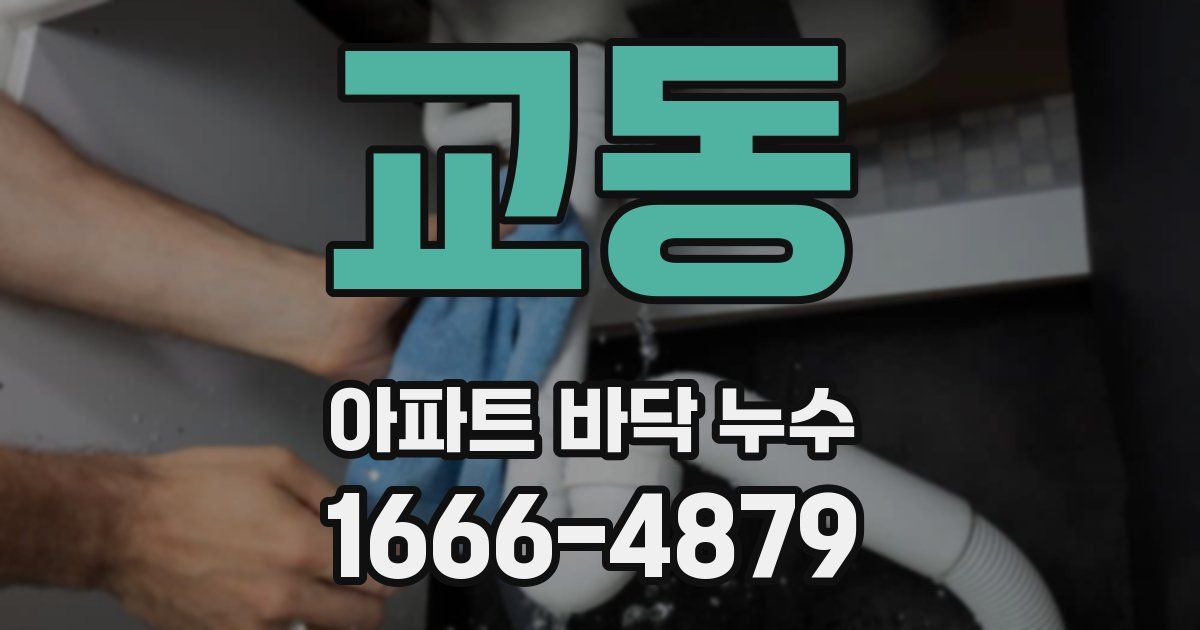 교동 아파트 바닥 누수