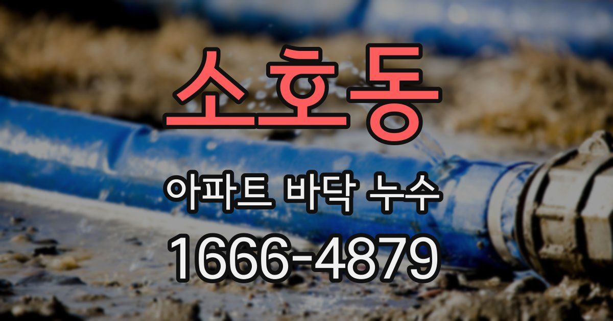 소호동 아파트 바닥 누수