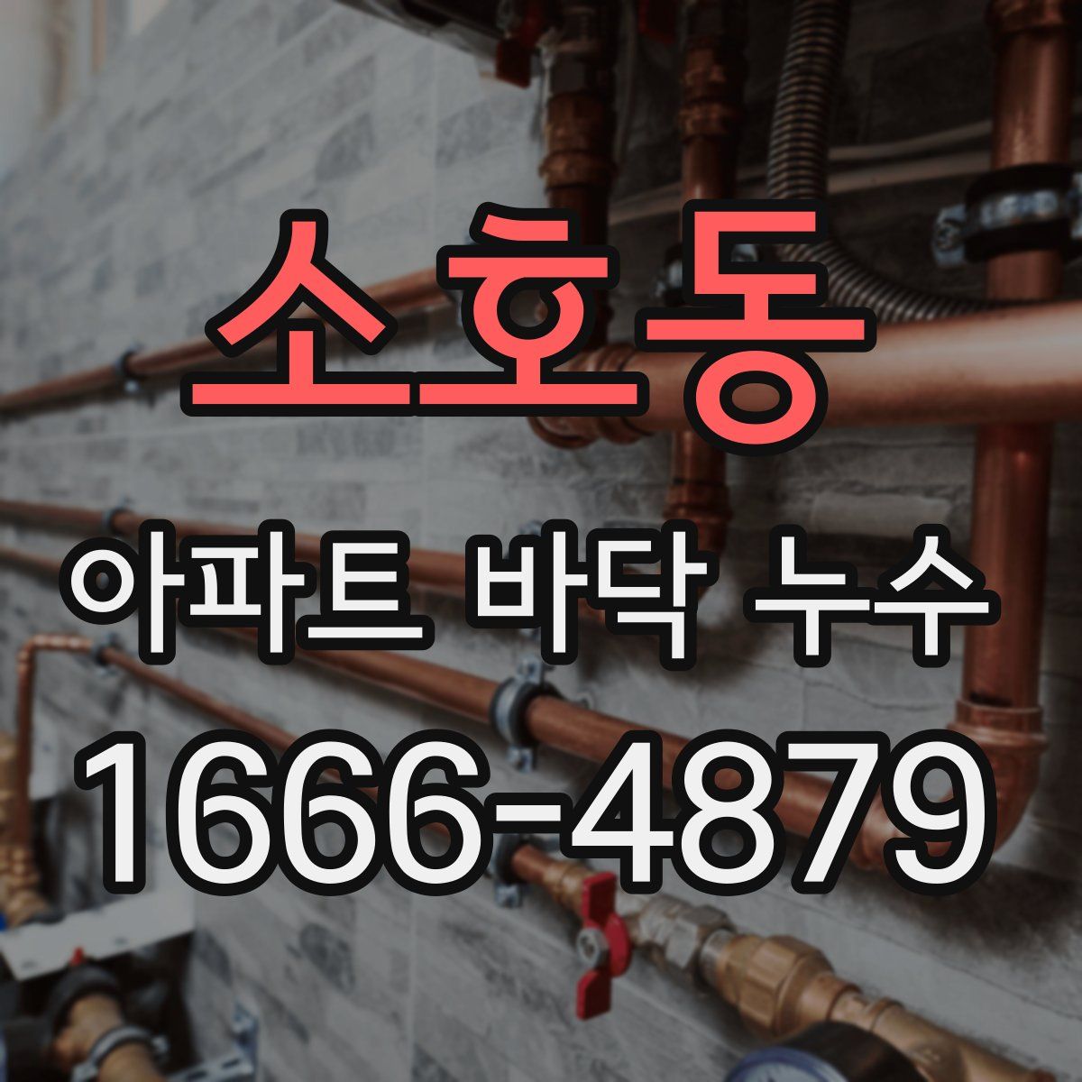 소호동 아파트 바닥 누수