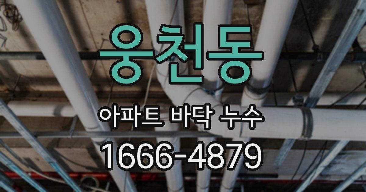 웅천동 아파트 바닥 누수