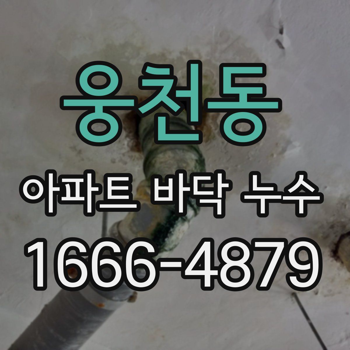 웅천동 아파트 바닥 누수