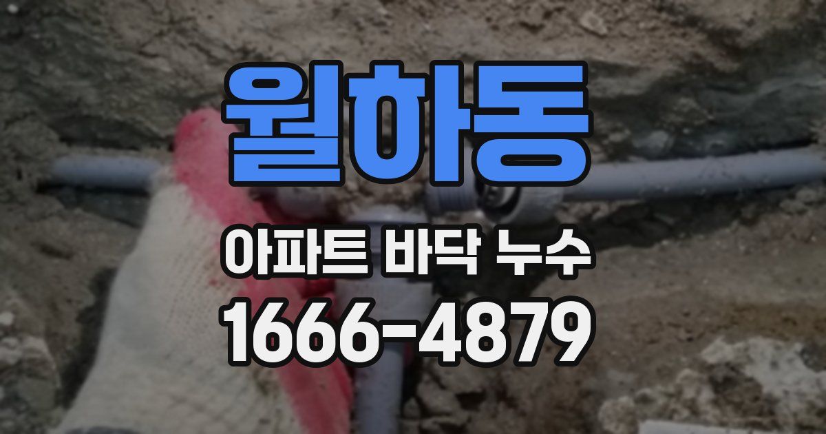 월하동 아파트 바닥 누수