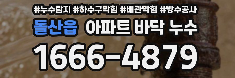 돌산읍 아파트 바닥 누수
